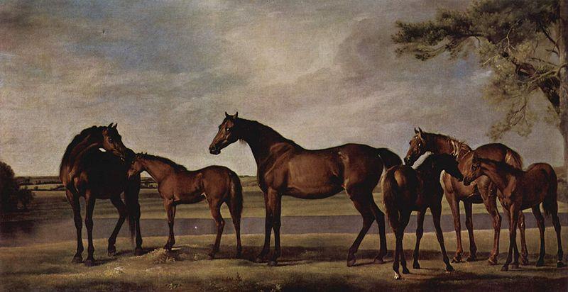 George Stubbs Stuten und Fohlen angstigen sich vor einem heraufziehenden Unwetter